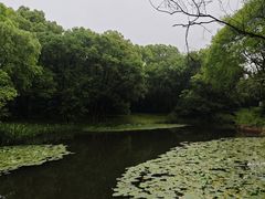 -西溪国家湿地公园