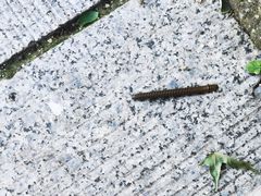 -北京凤凰岭