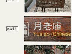 -乌镇景区