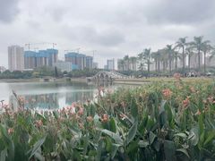 -南宁南湖公园