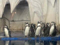 -太平洋海底世界