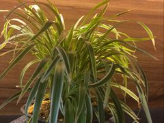 -水月·和牛工坊(水晶郦城店)