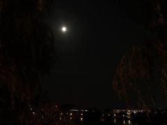 -羊山湖公园