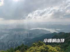 -梧桐山风景名胜区