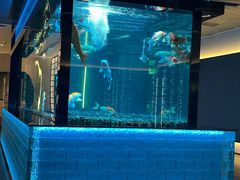 -碧涛阁·泡泡海洋·汤泉洗浴(王府花园店)