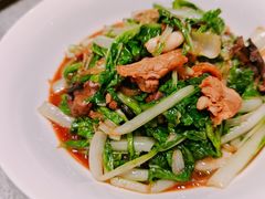 -燕郊烧鸽子(广安路店)