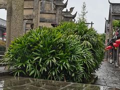-南关石牌坊古镇