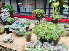 -山菌美食苑(振兴路店)