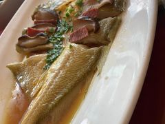 -新镇江酒家(南京西路店)