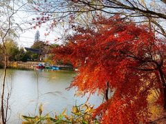 -梁鸿国家湿地公园
