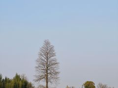 -良渚古城遗址公园