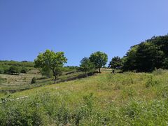 -妙峰山风景名胜区