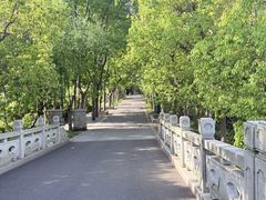 -同里国家湿地公园