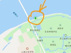-上海滨江森林公园