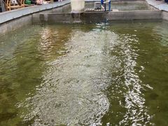 -光头佬室内钓虾场·烧烤·团建·亲子(中山八路店)