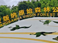 -西双版纳原始森林公园