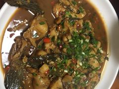-全乐鱼馆·淳牌有机鱼直营店