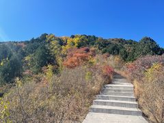 -北京西山国家森林公园