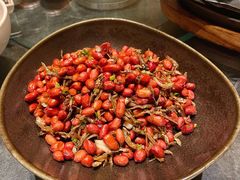 花生米-金掌勺东北菜(格兰晴天店)