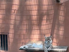 -青藏高原野生动物园