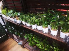 -优衣库(深圳万象天地旗舰店)