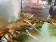 -凯华海鲜火锅·传承三十六年