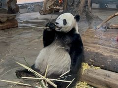 -海南热带野生动植物园