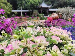 -广州市白云山风景名胜区