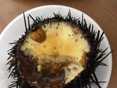 海胆蒸蛋-海胆小馆(春柳店)
