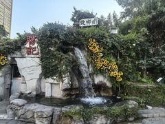 -勝記酒家·37年老字号·经典粤菜(荔枝公园店)
