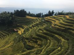 -紫鹊界梯田景区