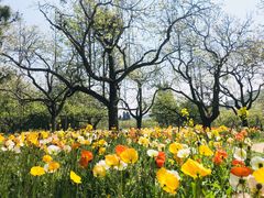 -名花谷生态庄园