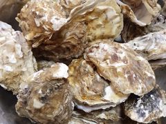 -宾朋海鲜特色美食餐厅·纯手工鲅鱼水饺(兴海路店)