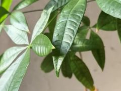 -竹里馆 ·茶食(奥体店)