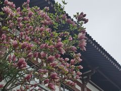 -西安华清御汤酒店