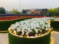 -莫子山公园