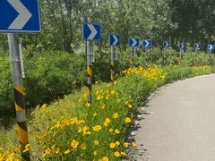 -东郊湿地公园