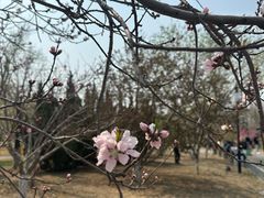 -水西公园