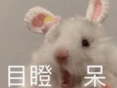 -老陈虾霸(上海路店)