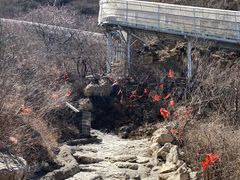 -鸡鸣山旅游风景区