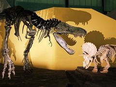 -湖南省地质博物馆