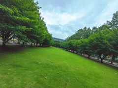 -同济大学(嘉定校区)