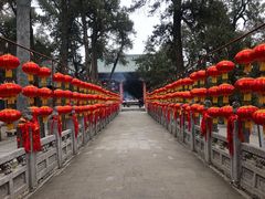 -关林
