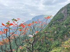 -萍乡武功山风景名胜区