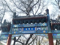 -北京国子监胡同