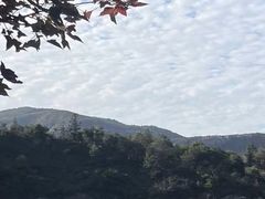 -大罗山风景区