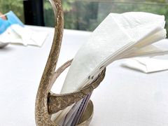 -梧桐