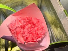 -小苍兰风铃草蛋糕甜品(沈阳店)