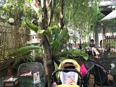 -Fern Forest Cafe