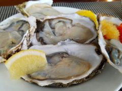 冰岛生蚝-白天鹅宾馆·流浮阁咖啡厅